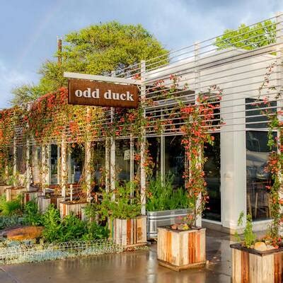 odd duck mke|odd duck resy.